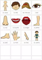 Aperçu - Feuilles d'exercices - Vocabulaire: Parties du corps - Page 1