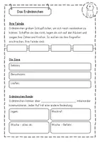 Vorschau - Arbeitsblätter - Erdmännchen Materialpaket - Seite 3