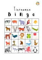 Vorschau - Spiele - Bingo Fahrzeuge, Früchte, Farben, Tiere, Kleidung - Deckblatt