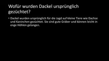 Vorschau - Arbeitsblätter - AB mit Fragen zum Thema "Dackel" + Lösungsblatt - Seite 3