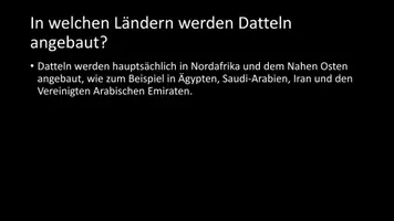 Vorschau - Arbeitsblätter - AB mit Fragen zum Thema "Dattel" + Lösungsblatt - Seite 3