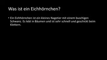 Vorschau - Arbeitsblätter - AB mit Fragen zum Thema "Eichhörnchen" + Lösungsblatt + Infografik - Seite 3