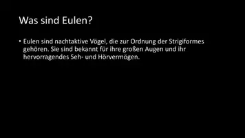Vorschau - Arbeitsblätter - AB mit Fragen zum Thema "Eulen" + Lösungsblatt + Infografik - Seite 3