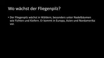Vorschau - Arbeitsblätter - AB mit Fragen zum Thema "Fliegenpilz" + Lösungsblatt - Seite 3