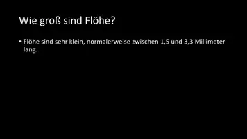 Vorschau - Arbeitsblätter - AB mit Fragen zum Thema "Flöhe" + Lösungsblatt - Seite 3