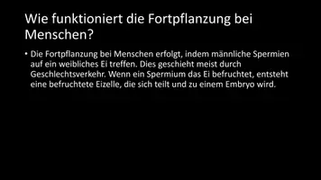 Vorschau - Arbeitsblätter - AB mit Fragen zum Thema "Fortpflanzung" + Lösungsblatt - Seite 2