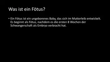 Vorschau - Arbeitsblätter - AB mit Fragen zum Thema "Fötus" + Lösungsblatt + Infografik - Seite 3