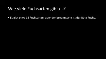 Vorschau - Arbeitsblätter - AB mit Fragen zum Thema "Füchse" + Lösungsblatt - Seite 3