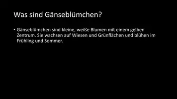 Vorschau - Arbeitsblätter - AB mit Fragen zum Thema "Gänseblümchen" + Lösungsblatt - Seite 2