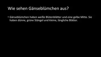 Vorschau - Arbeitsblätter - AB mit Fragen zum Thema "Gänseblümchen" + Lösungsblatt - Seite 3