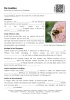Vorschau - Arbeitsblätter - Die Insekten - Arbeitsblatt mit Erklärvideo - Deckblatt