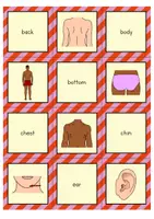 Vorschau - Spiele - Body Parts Matching Pairs Game (Englisch) - Seite 1