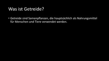 Vorschau - Arbeitsblätter - AB mit Fragen zum Thema "Getreide" + Lösungsblatt + Infografik - Seite 3