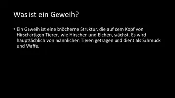 Vorschau - Arbeitsblätter - AB mit Fragen zum Thema "Geweih" + Lösungsblatt + Infografik - Seite 3
