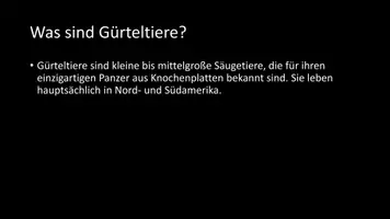Vorschau - Arbeitsblätter - AB mit Fragen zum Thema "Gürteltiere" + Lösungsblatt - Seite 2
