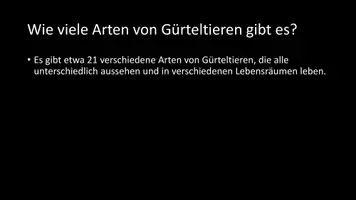 Vorschau - Arbeitsblätter - AB mit Fragen zum Thema "Gürteltiere" + Lösungsblatt - Seite 3