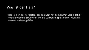 Vorschau - Arbeitsblätter - AB mit Fragen zum Thema "Hals" + Lösungsblatt - Seite 2