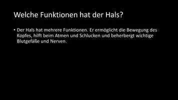 Vorschau - Arbeitsblätter - AB mit Fragen zum Thema "Hals" + Lösungsblatt - Seite 3