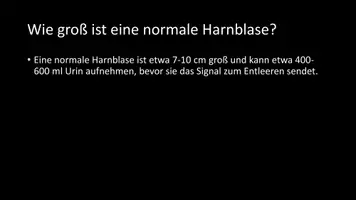 Vorschau - Arbeitsblätter - AB mit Fragen zum Thema "Harnblase" + Lösungsblatt - Seite 3