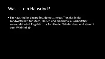 Vorschau - Arbeitsblätter - AB mit Fragen zum Thema "Hausrind" + Lösungsblatt - Seite 2