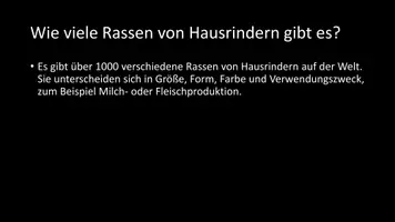 Vorschau - Arbeitsblätter - AB mit Fragen zum Thema "Hausrind" + Lösungsblatt - Seite 3