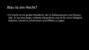 Vorschau - Arbeitsblätter - AB mit Fragen zum Thema "Hecht" + Lösungsblatt + Infografik - Seite 3