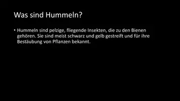 Vorschau - Arbeitsblätter - AB mit Fragen zum Thema "Hummeln" + Lösungsblatt - Seite 2