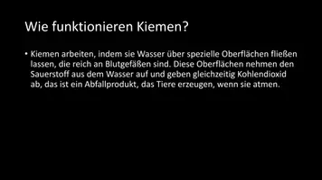 Vorschau - Arbeitsblätter - AB mit Fragen zum Thema "Kiemen" + Lösungsblatt - Seite 3