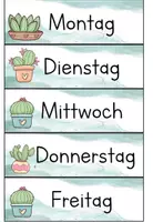 Vorschau - Bildkarten - Tagestransparenz Wortkarten Kaktus - Seite 1