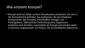 Vorschau - Arbeitsblätter - AB mit Fragen zum Thema "Knorpel" + Lösungsblatt - Seite 3