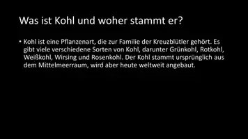 Vorschau - Arbeitsblätter - AB mit Fragen zum Thema "Kohl" + Lösungsblatt - Seite 2