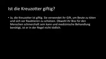 Vorschau - Arbeitsblätter - AB mit Fragen zum Thema "Kreuzotter" + Lösungsblatt + Infografik - Seite 3