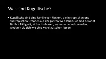 Vorschau - Arbeitsblätter - AB mit Fragen zum Thema "Kugelfische" + Lösungsblatt - Seite 2
