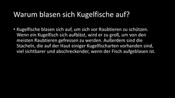 Vorschau - Arbeitsblätter - AB mit Fragen zum Thema "Kugelfische" + Lösungsblatt - Seite 3