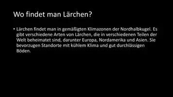 Vorschau - Arbeitsblätter - AB mit Fragen zum Thema "Lärchen" + Lösungsblatt - Seite 3