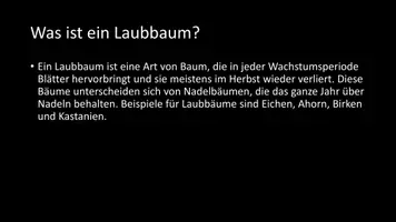 Vorschau - Arbeitsblätter - AB mit Fragen zum Thema "Laubbaum" + Lösungsblatt + Infografik - Seite 3