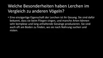 Vorschau - Arbeitsblätter - AB mit Fragen zum Thema "Lerchen" + Lösungsblatt - Seite 3