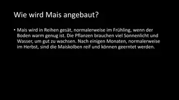 Vorschau - Arbeitsblätter - AB mit Fragen zum Thema "Mais" + Lösungsblatt - Seite 3