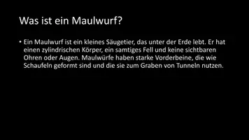 Vorschau - Arbeitsblätter - AB mit Fragen zum Thema "Maulwürfe" + Lösungsblatt - Seite 2