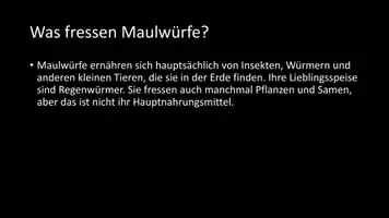 Vorschau - Arbeitsblätter - AB mit Fragen zum Thema "Maulwürfe" + Lösungsblatt - Seite 3