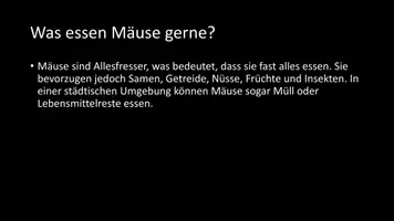 Vorschau - Arbeitsblätter - AB mit Fragen zum Thema "Mäuse" + Lösungsblatt - Seite 2