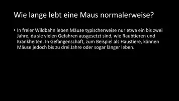 Vorschau - Arbeitsblätter - AB mit Fragen zum Thema "Mäuse" + Lösungsblatt - Seite 3