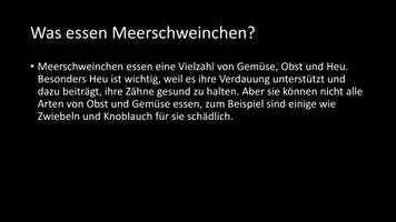 Vorschau - Arbeitsblätter - AB mit Fragen zum Thema "Meerschweinchen" + Lösungsblatt - Seite 3