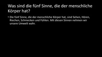 Vorschau - Arbeitsblätter - AB mit Fragen zum Thema "menschlicher Körper" + Lösungsblatt - Seite 2