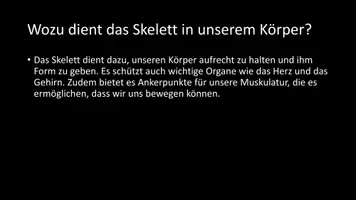 Vorschau - Arbeitsblätter - AB mit Fragen zum Thema "menschlicher Körper" + Lösungsblatt - Seite 3
