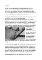 Vorschau - Stundenentwürfe - Die Pest im Mittelalter Text Aufgaben Lösung - Seite 2