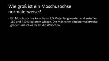 Vorschau - Arbeitsblätter - AB mit Fragen zum Thema "Moschusochse" + Lösungsblatt - Seite 3