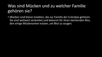 Vorschau - Arbeitsblätter - AB mit Fragen zum Thema "Mücken" + Lösungsblatt + Infografik - Seite 3