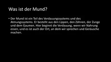 Vorschau - Arbeitsblätter - AB mit Fragen zum Thema "Mund" + Lösungsblatt + Mindmap - Seite 3
