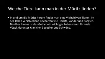 Vorschau - Arbeitsblätter - AB mit Fragen zum Thema "Müritz" + Lösungsblatt - Seite 3